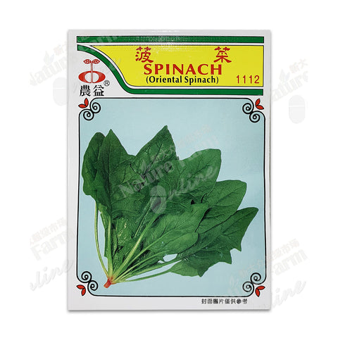NONGYI SPINACH SEEDS  2g