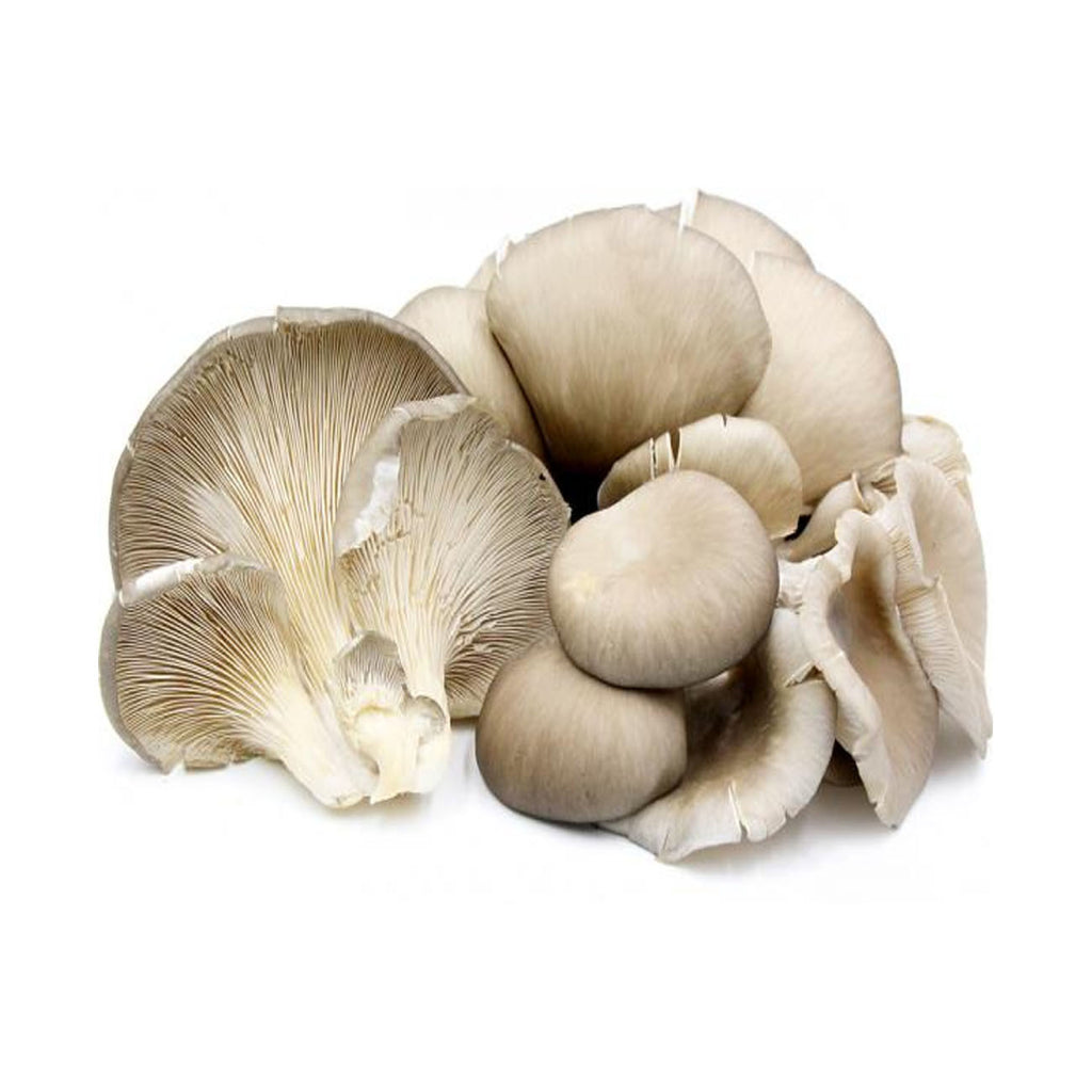 Oyster Mushroom 1.0LBS-1.3LBS