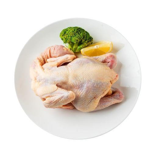 优质小鸡每只1.8-2磅