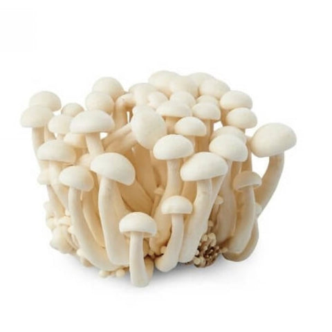 白色毛榉蘑菇 -袋装 8oz