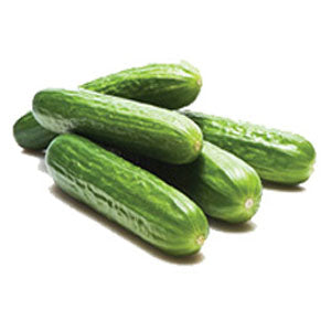 Persian Cucumbers 1.8LBS-2.2LBS